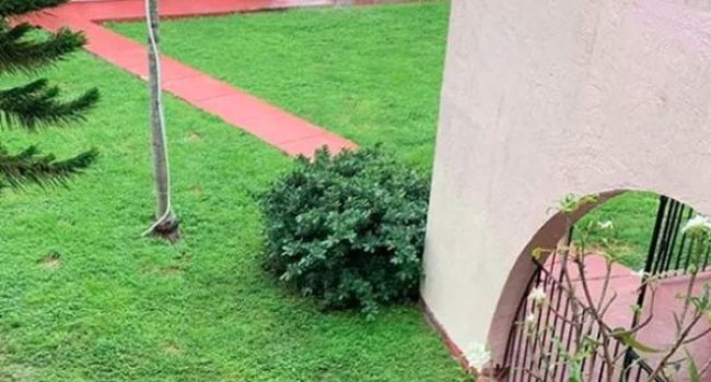 westlandplazacondo_05